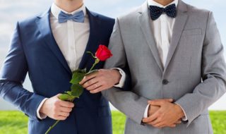 Госдума проверит «лазейку» для признания однополых браков