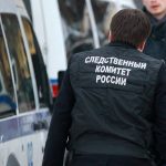 Фигуранты списка &ldquo;Пилы&rdquo; обратились в СК после убийства Елены Григорьевой