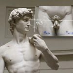 размеры члена