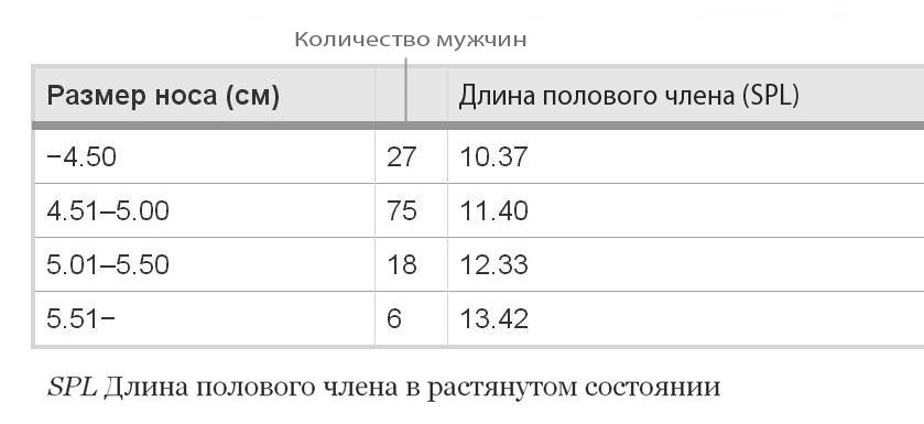 Какой должен быть размер члена в 13. Размер полового органа у мужчин. Норма члена в возбужденном состоянии. Размеры члена в возбужденном состоянии. Размер пениса в возбужденном состоянии.