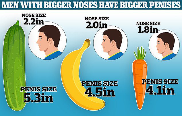 Размер пениса связан с размерами носа