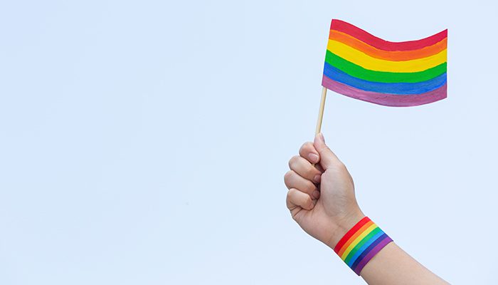 критерии ЛГБТ-пропаганды
