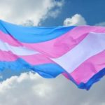 Транс*мигранты в Дании и Швеции – не все так просто