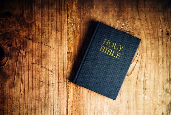 В штате Юта требуют убрать Библию из школ из-за порнографии