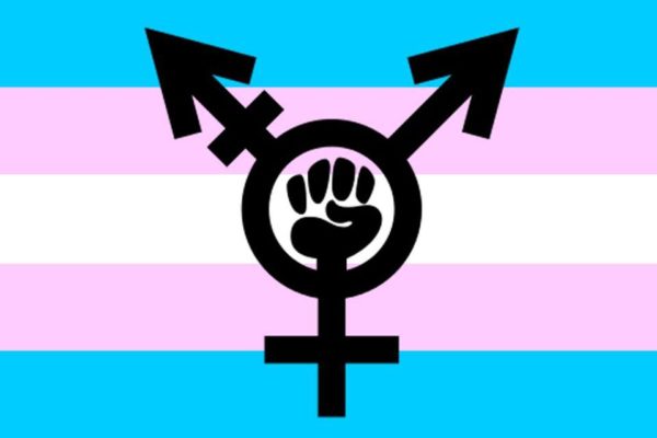 Trans liberation now флаг борьбы транс-сообщества