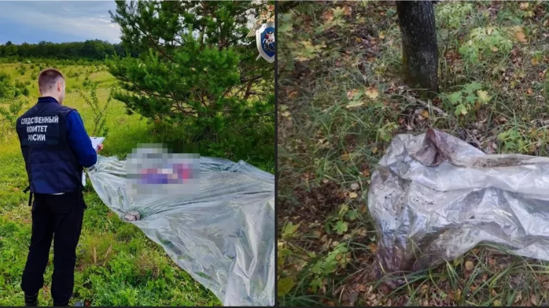 Пенсионерка погибла из-за увиденного случайно секса двух мужчин