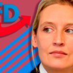 Новым канцлером Германии может стать ультраправая лесбиянка
