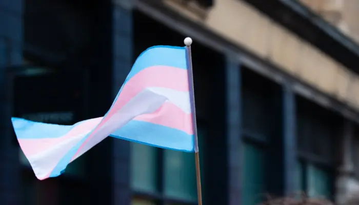 транс-флаг, флаг транс-сообщества голубой розовый белый