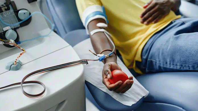 Австралия донорство крови лгбт