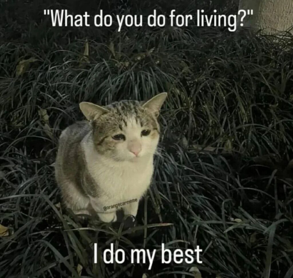 Транс сообщество лгбт экстремизм