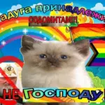 Роскомнадзор заблокирует три поста в квирном ТГ-канале