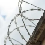 колючая проволока на стене колонии