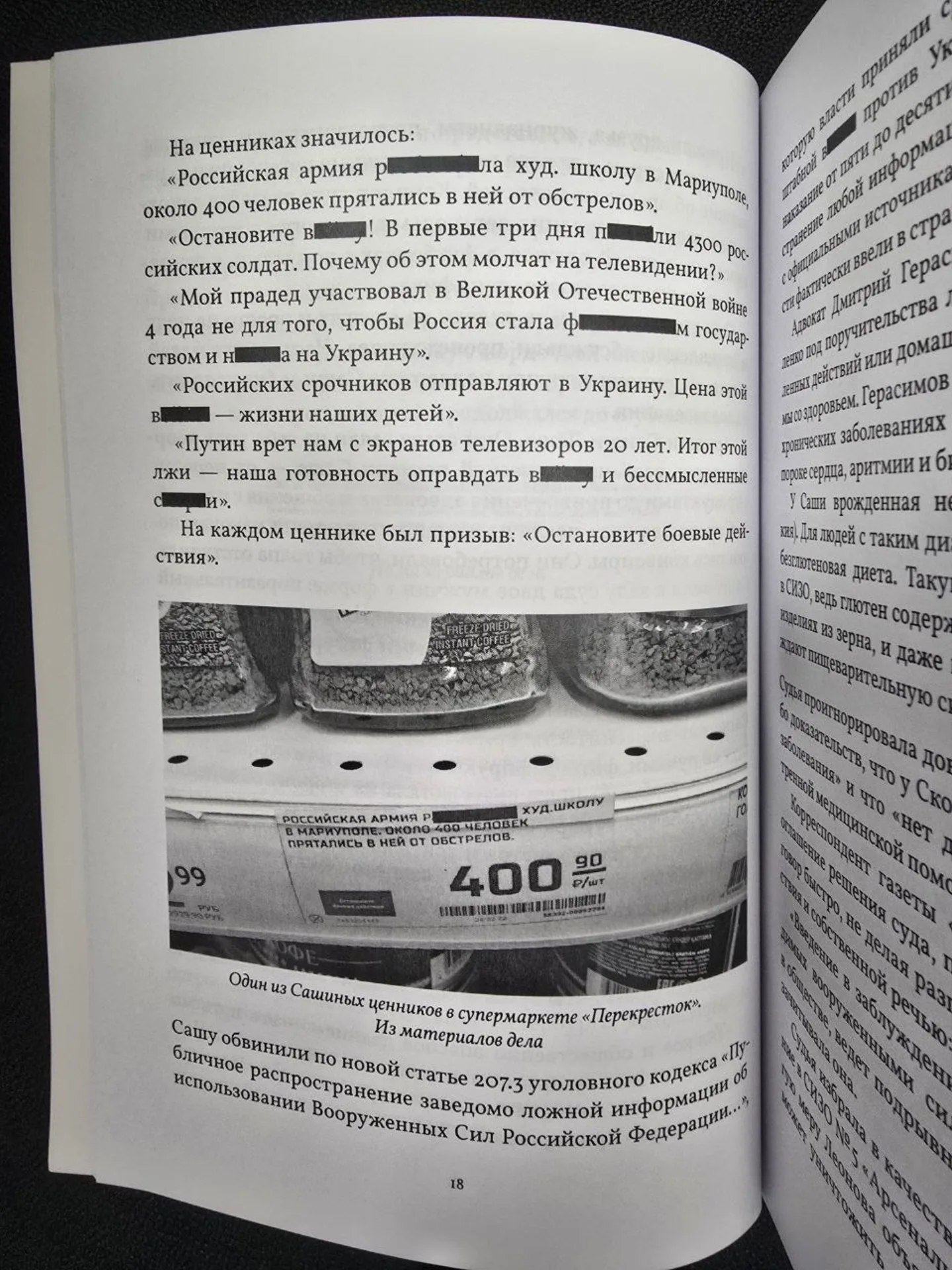 Саша Скочиленко книга