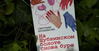 книга Светланы Бронниковой «На Шубкинском болоте снова буря»